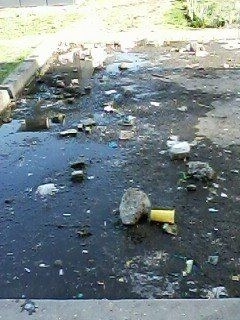 Запорожцы обсуждают увиденную возле супермаркета картину (ФОТО) Фото № 1 Запорожцы обсуждают увиденную возле супермаркета картину (ФОТО) Фото № 1