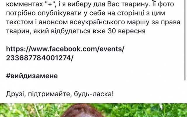 Запорожцы присоединились к всеукраинской акции протеста (ФОТО) Фото № 2 Запорожцы присоединились к всеукраинской акции протеста (ФОТО) Фото № 2