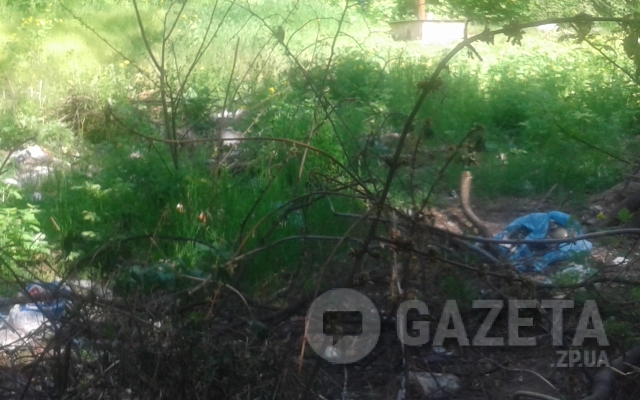 В центре Запорожья несколько лет лежат кучи мусора: Коммунальщики бездействуют (ФОТО) Фото № 0 В центре Запорожья несколько лет лежат кучи мусора: Коммунальщики бездействуют (ФОТО) Фото № 0