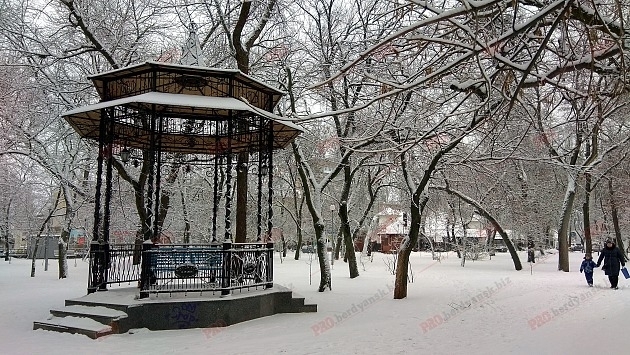 В сети показали удивительную зиму в городском парке (ФОТО) Фото № 0 В сети показали удивительную зиму в городском парке (ФОТО) Фото № 0