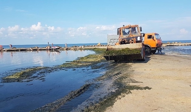 Запорожский курорт продолжают заполнять водоросли (ФОТО) Фото № 0 Запорожский курорт продолжают заполнять водоросли (ФОТО) Фото № 0