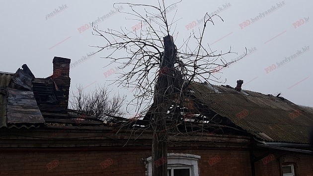 Появились фото серьезного пожара в Запорожской области Фото № 0 Появились фото серьезного пожара в Запорожской области Фото № 0