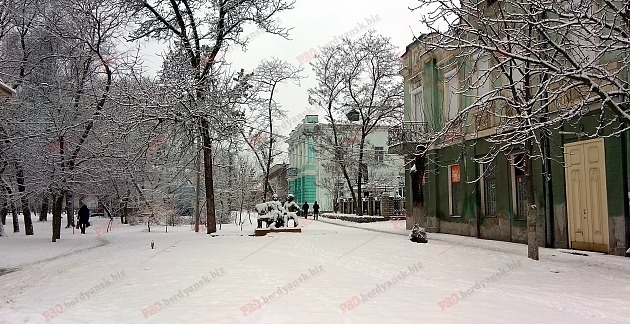В сети показали удивительную зиму в городском парке (ФОТО) Фото № 4 В сети показали удивительную зиму в городском парке (ФОТО) Фото № 4