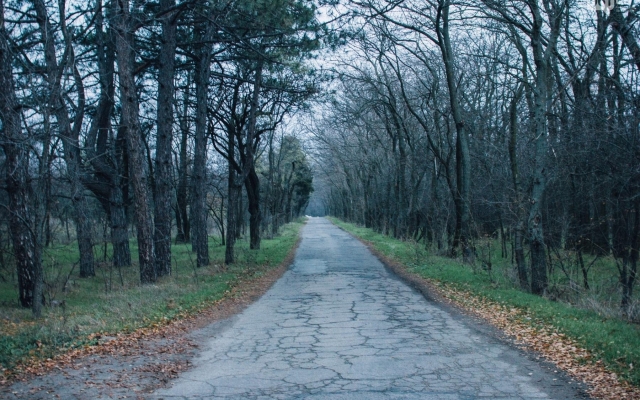 В сети опубликовали завораживающие фото осенней Хортицы Фото № 34 В сети опубликовали завораживающие фото осенней Хортицы Фото № 34