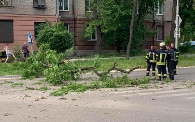 В Запорожье дерево рухнуло на автомобиль, в котором ехала мама с детьми (ФОТО, ВИДЕО) Фото № 0 В Запорожье дерево рухнуло на автомобиль, в котором ехала мама с детьми (ФОТО, ВИДЕО) Фото № 0
