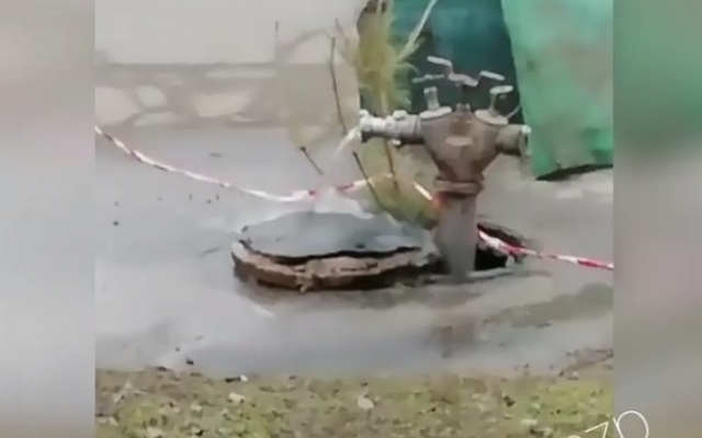 Курьезы: Курьезы: