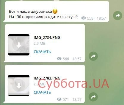 Открыто криминальное дело: Подростки распространяют детское портно в сети (ВИДЕО 18+) Фото № 0 Открыто криминальное дело: Подростки распространяют детское портно в сети (ВИДЕО 18+) Фото № 0