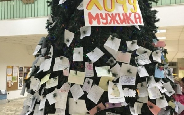 Курьезы: В Запорожской области мужчина уснул на ёлке (ВИДЕО) Фото № 0 Курьезы: В Запорожской области мужчина уснул на ёлке (ВИДЕО) Фото № 0