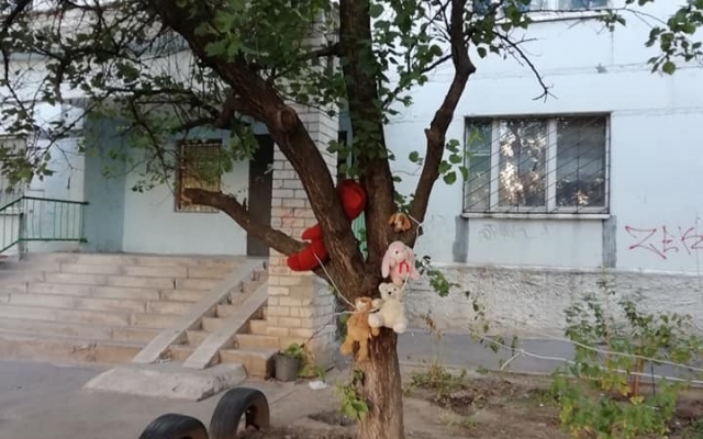 В Запорожье игрушки стали жертвами красоты Фото № 1 В Запорожье игрушки стали жертвами красоты Фото № 1
