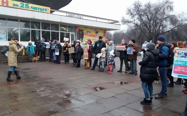 Сегодня несколько десятков запорожцев вышли на митинг (ФОТО) Фото № 1 Сегодня несколько десятков запорожцев вышли на митинг (ФОТО) Фото № 1