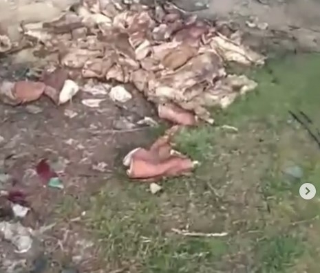 В Запорожской области в лесополосе обнаружили отвратительную находку (ВИДЕО) Фото № 0 В Запорожской области в лесополосе обнаружили отвратительную находку (ВИДЕО) Фото № 0