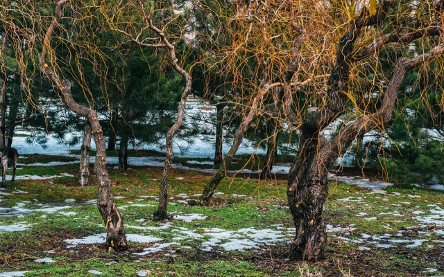 В сети показали красоту запорожской Набережной (ФОТО) Фото № 4 В сети показали красоту запорожской Набережной (ФОТО) Фото № 4