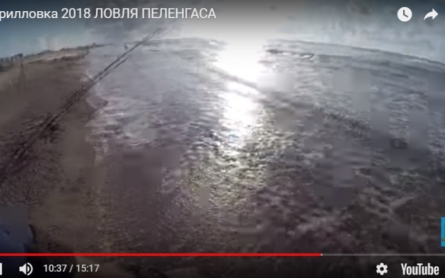 Популярный блогер снял ролик на запорожском курорте (ВИДЕО) Фото № 0 Популярный блогер снял ролик на запорожском курорте (ВИДЕО) Фото № 0