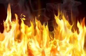 Пожар в Запорожской области закончился реанимацией для пенсионерки Фото № 0 Пожар в Запорожской области закончился реанимацией для пенсионерки Фото № 0