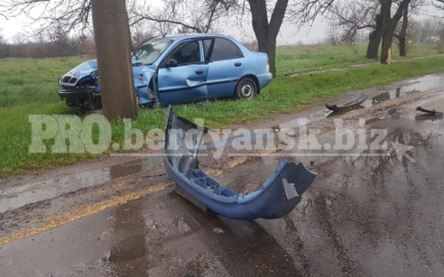 В Запорожской области легковушка на скорости врезалась в дерево (ФОТО) Фото № 0 В Запорожской области легковушка на скорости врезалась в дерево (ФОТО) Фото № 0