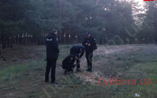 Около школы обнаружили жуткую находку (ФОТО) Фото № 1 Около школы обнаружили жуткую находку (ФОТО) Фото № 1