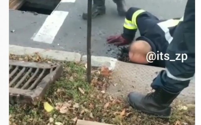 В Запорожье спасатели вызволяли животное из западни (ВИДЕО) Фото № 0 В Запорожье спасатели вызволяли животное из западни (ВИДЕО) Фото № 0