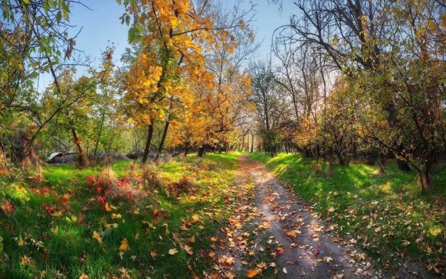 В Сети появились завораживающие снимки осеней Хортицы (ФОТО) Фото № 1 В Сети появились завораживающие снимки осеней Хортицы (ФОТО) Фото № 1