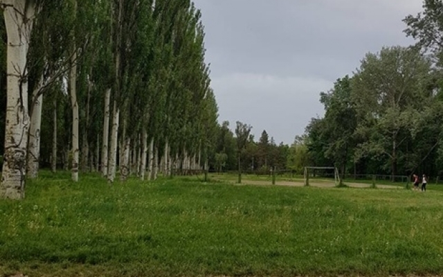 Ободранные лавочки и ветшающие аттракционы: Дубовая роща сегодня (ФОТО) Фото № 8 Ободранные лавочки и ветшающие аттракционы: Дубовая роща сегодня (ФОТО) Фото № 8