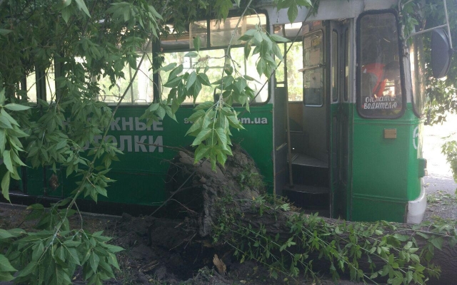 ДТП с пострадавшими на бульваре Шевченко: На троллейбус упало дерево (ФОТО) Фото № 1 ДТП с пострадавшими на бульваре Шевченко: На троллейбус упало дерево (ФОТО) Фото № 1