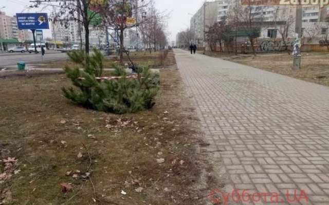 На Песках около дороги большой провал в асфальте (ФОТО) Фото № 0 На Песках около дороги большой провал в асфальте (ФОТО) Фото № 0
