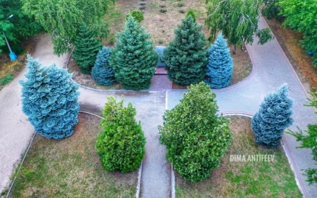 Запорожский фотограф показал снимки обновленного парка с высоты Фото № 2 Запорожский фотограф показал снимки обновленного парка с высоты Фото № 2