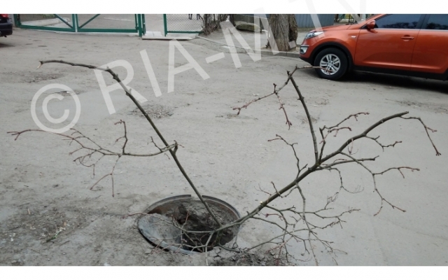 Фотофакт: На улице Героев Сталинграда автомобилистов и пешеходов поджидает ловушка Фото № 1 Фотофакт: На улице Героев Сталинграда автомобилистов и пешеходов поджидает ловушка Фото № 1