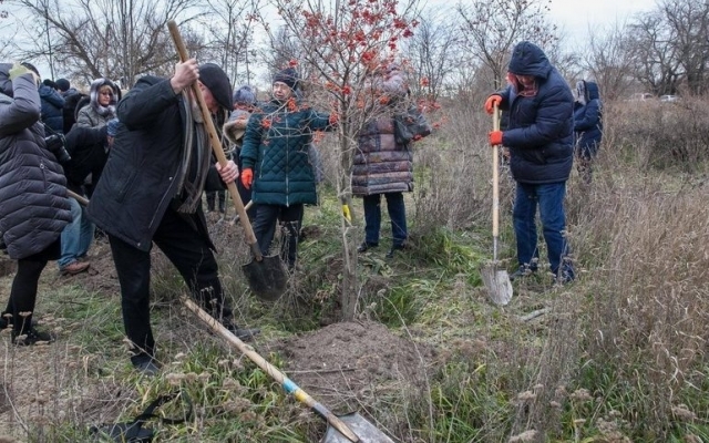 В Запорожье высадили деревья на новой аллее врачей Фото № 0 В Запорожье высадили деревья на новой аллее врачей Фото № 0