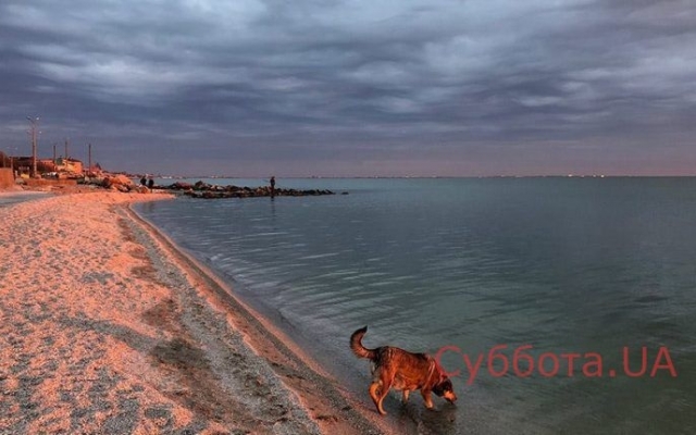 В сети поделились снимками завораживающего заката на курорте Фото № 0 В сети поделились снимками завораживающего заката на курорте Фото № 0