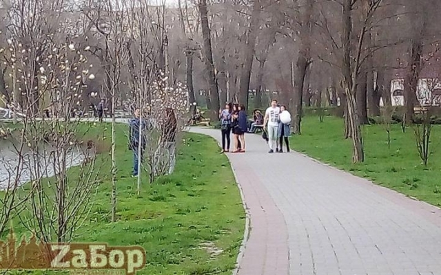 В Дубовке зацвели прекрасные цветы (ФОТО) Фото № 2 В Дубовке зацвели прекрасные цветы (ФОТО) Фото № 2