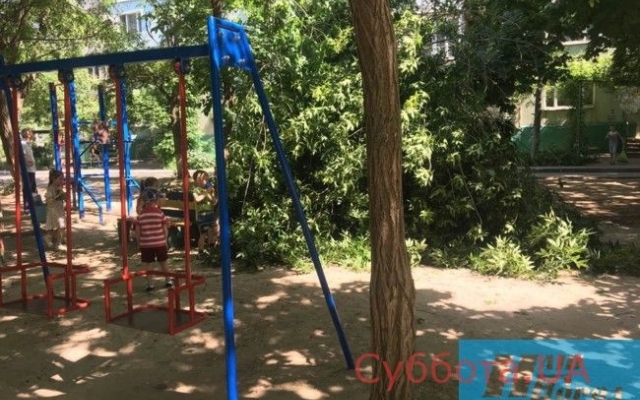 В Запорожской области рядом с детьми рухнуло дерево Фото № 1 В Запорожской области рядом с детьми рухнуло дерево Фото № 1
