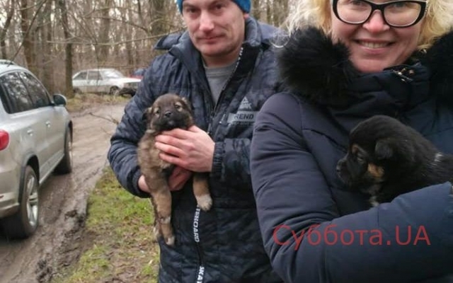 В Запорожье в лесу бросили умирать щенков (ФОТО) Фото № 1 В Запорожье в лесу бросили умирать щенков (ФОТО) Фото № 1