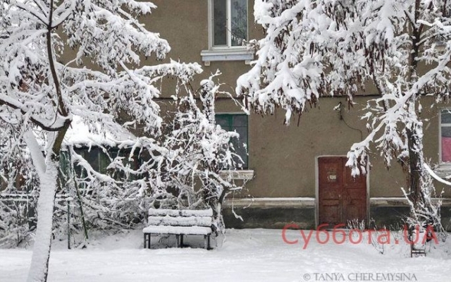 В сети показали завораживающие фото заснеженного курорта Фото № 4 В сети показали завораживающие фото заснеженного курорта Фото № 4