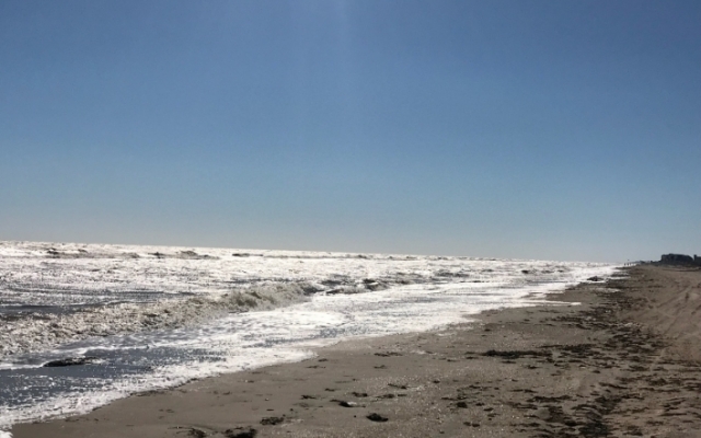 Азовское море Азовское море