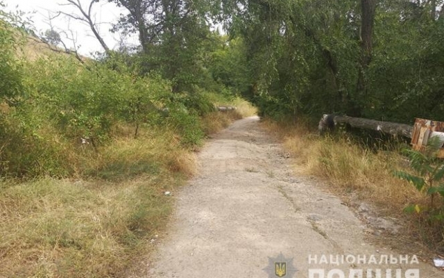 На запорожском курорте посреди улицы напали на женщину (ФОТО) Фото № 0 На запорожском курорте посреди улицы напали на женщину (ФОТО) Фото № 0