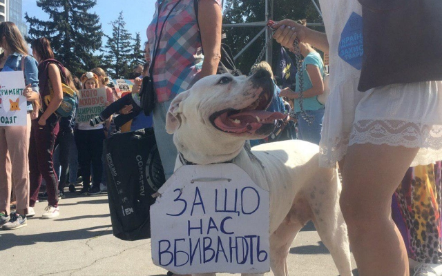 В Запорожье прошел протест в защиту животных (ФОТО) Фото № 12 В Запорожье прошел протест в защиту животных (ФОТО) Фото № 12