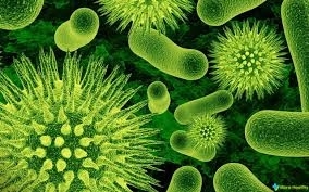 Подробности обнаружения серьезного заболевания в Запорожской области Фото № 0 Подробности обнаружения серьезного заболевания в Запорожской области Фото № 0