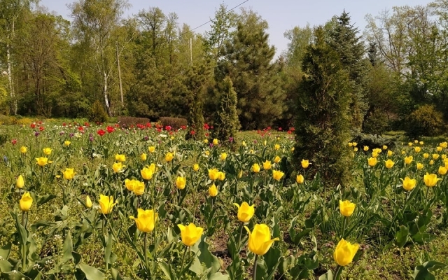 Фотофакт: В ботаническом саду Запорожья провели уборку Фото № 3 Фотофакт: В ботаническом саду Запорожья провели уборку Фото № 3