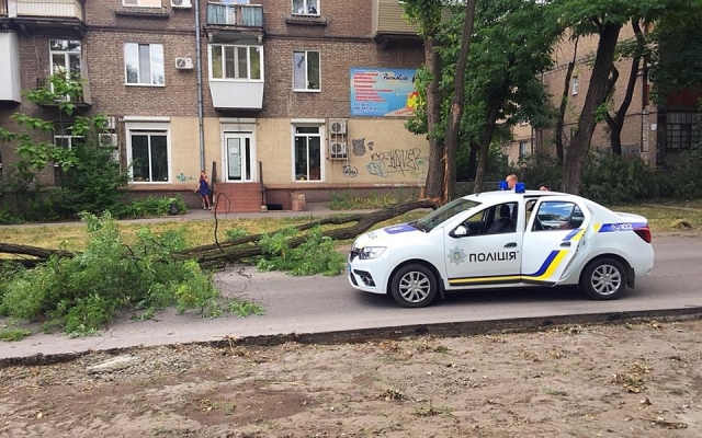 В Запорожье на автомобили падают деревья (ФОТО) Фото № 1 В Запорожье на автомобили падают деревья (ФОТО) Фото № 1