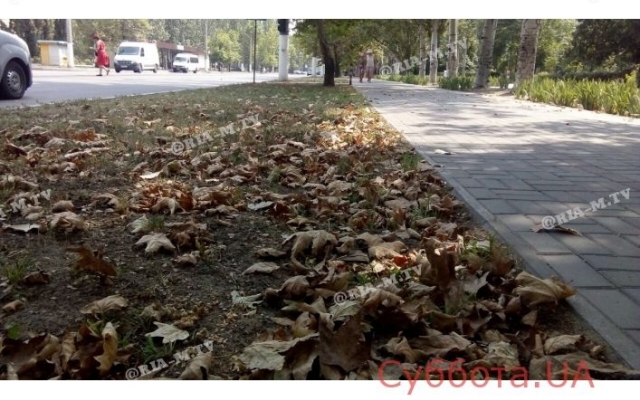 В Запорожской области наступила осень (ФОТО) Фото № 1 В Запорожской области наступила осень (ФОТО) Фото № 1