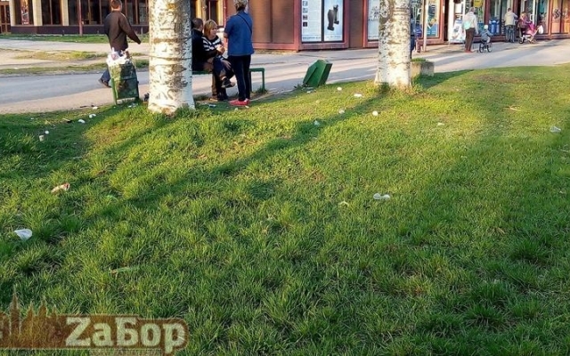 Запорожцы шокированы состоянием парка (ФОТО) Фото № 5 Запорожцы шокированы состоянием парка (ФОТО) Фото № 5