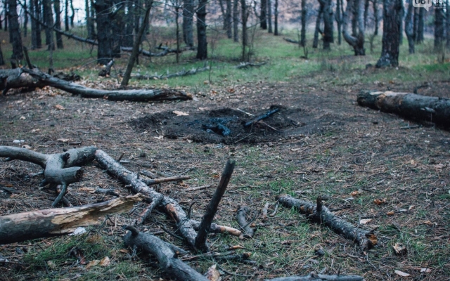 В сети опубликовали завораживающие фото осенней Хортицы Фото № 30 В сети опубликовали завораживающие фото осенней Хортицы Фото № 30
