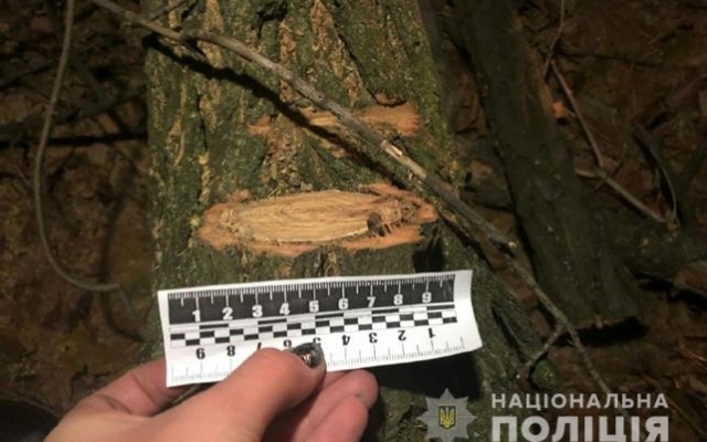 Запорожец с бензопилой бросался на полицейских (ФОТО) Фото № 1 Запорожец с бензопилой бросался на полицейских (ФОТО) Фото № 1