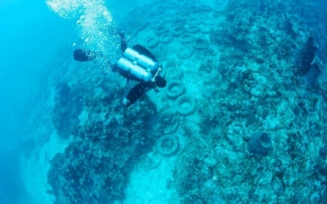 Азовское море в опасности: В Бердянске в воду сбрасывают шины (ФОТО) Фото № 0 Азовское море в опасности: В Бердянске в воду сбрасывают шины (ФОТО) Фото № 0