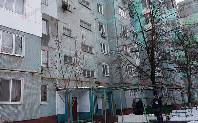 Запорожцы странно избавляются от новогодних елок (ФОТО) Фото № 2 Запорожцы странно избавляются от новогодних елок (ФОТО) Фото № 2