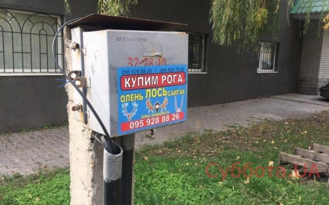 Курьезы: В Запорожье расклеили странные объявления (ФОТО) Фото № 0 Курьезы: В Запорожье расклеили странные объявления (ФОТО) Фото № 0