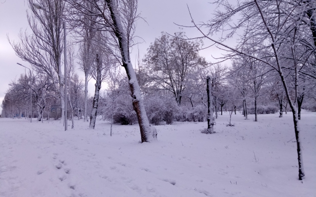 Сегодняшнее утро удивило запорожцев (ФОТО) Фото № 10 Сегодняшнее утро удивило запорожцев (ФОТО) Фото № 10