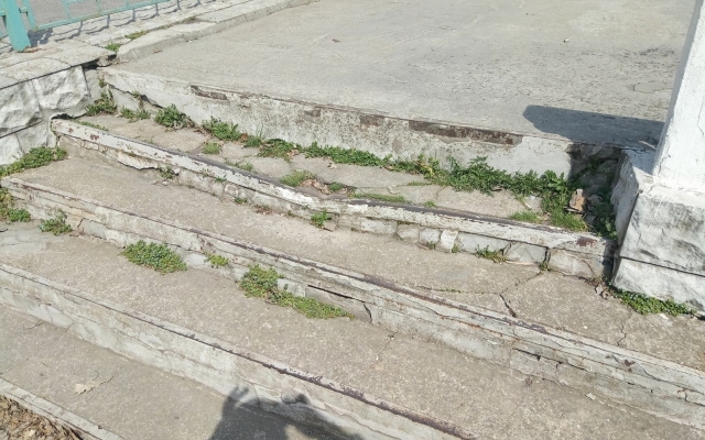 В сети показали масштабы разрушений главного запорожского парка (ФОТО) Фото № 1 В сети показали масштабы разрушений главного запорожского парка (ФОТО) Фото № 1