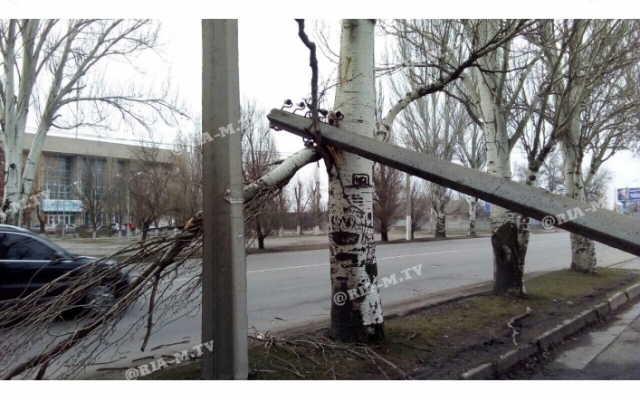 В Запорожской области столб повис на ветках над головами людей (ФОТО) Фото № 1 В Запорожской области столб повис на ветках над головами людей (ФОТО) Фото № 1