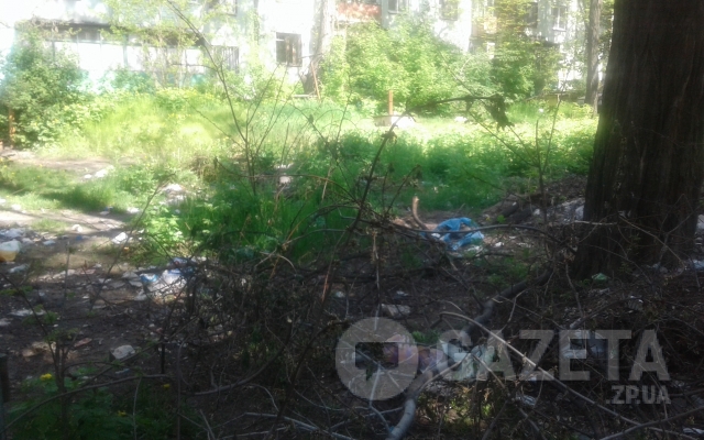 В центре Запорожья несколько лет лежат кучи мусора: Коммунальщики бездействуют (ФОТО) Фото № 2 В центре Запорожья несколько лет лежат кучи мусора: Коммунальщики бездействуют (ФОТО) Фото № 2